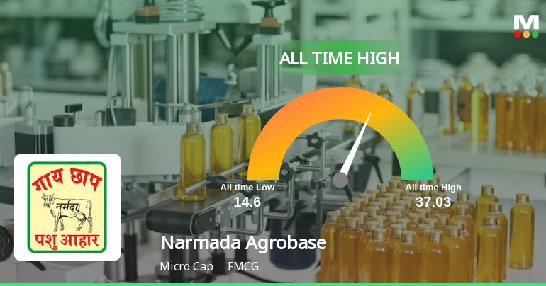 Narmada Agrobase Ltd Hits All-Time High of Rs 37.03 as Momentum Builds Across Timeframes