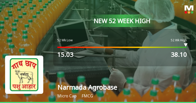 Broad-Based Technical Strength Lifts Narmada Agrobase Ltd to 52-Week High of Rs 38.1