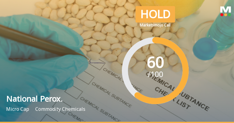 National Peroxide Ltd Downgraded to Hold Amid Mixed Technical and Financial Signals