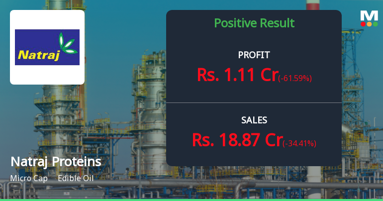 Natraj Proteins Q4 FY26: Profitability Returns Amid Sharp Revenue Decline