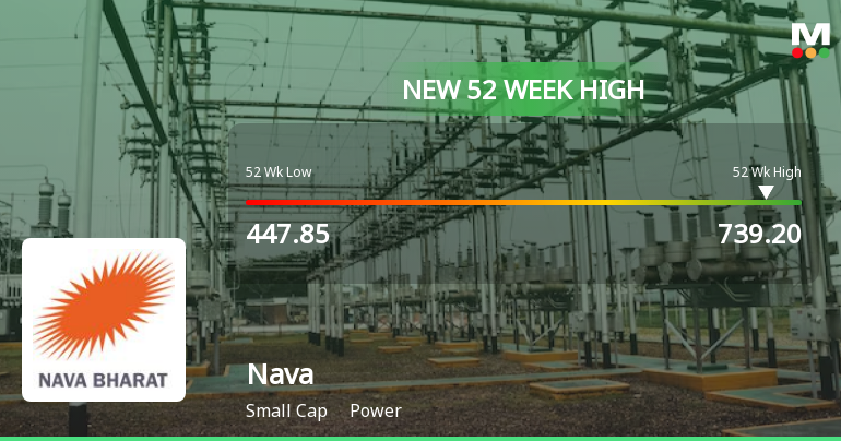Broad-Based Technical Strength Lifts Nava Ltd to 52-Week High of Rs 739.2