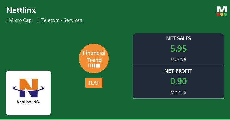 Nettlinx Ltd Reports Flat Quarterly Performance Amid Mixed Financial Trends