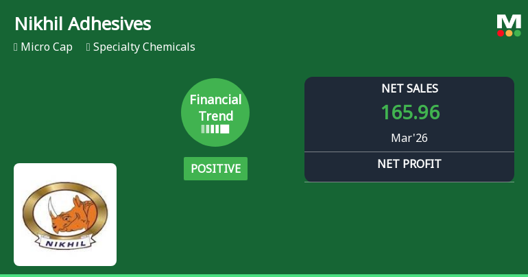 Nikhil Adhesives Ltd Reports Strong Quarterly Upswing Amid Specialty Chemicals Sector Challenges
