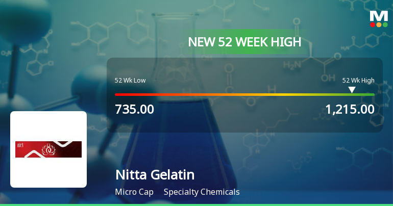 Broad-Based Technical Strength Lifts Nitta Gelatin India Ltd to 52-Week High of Rs 1215