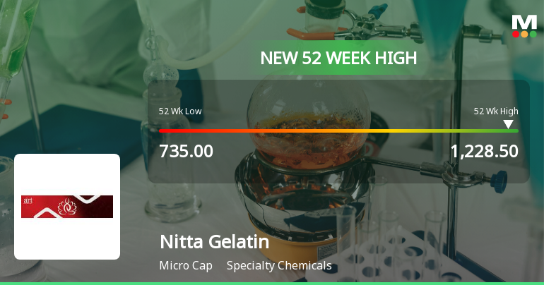 Broad-Based Technical Strength Lifts Nitta Gelatin India Ltd to 52-Week High of Rs 1228.5