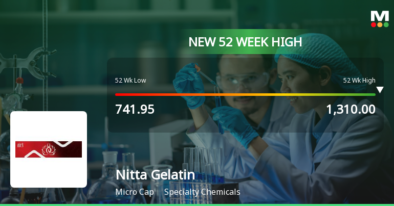 Broad-Based Technical Strength Lifts Nitta Gelatin India Ltd to 52-Week High of Rs 1317
