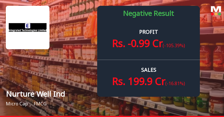 Nurture Well Industries Q4 FY26: Sharp Profit Decline Raises Serious Concerns