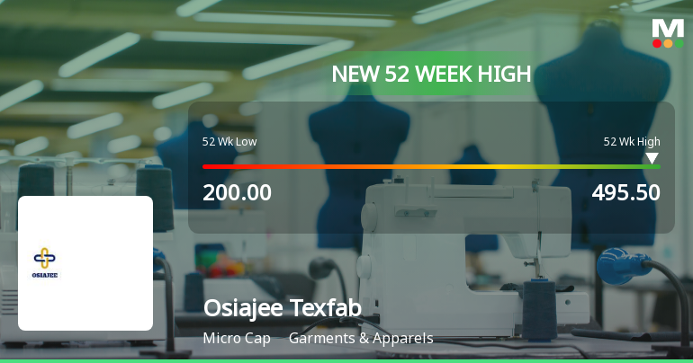 Broad-Based Technical Strength Lifts Osiajee Texfab Ltd to 52-Week High of Rs 495.5