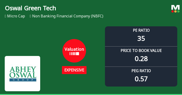Oswal Green Tech Ltd Valuation Shifts Signal Price Attractiveness Concerns