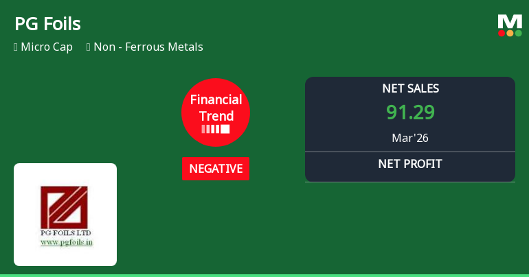 PG Foils Ltd Reports Mixed Quarterly Performance Amid Financial Trend Improvement