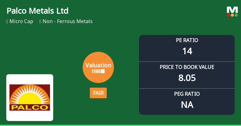 Palco Metals Ltd Valuation Shifts to Fair Amid Mixed Market Performance