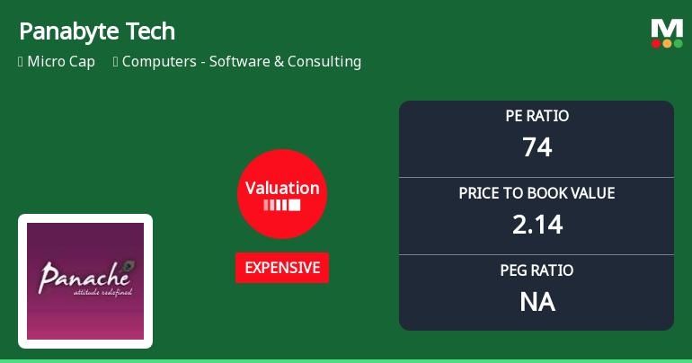 Panabyte Technologies Ltd Faces Valuation Reassessment Amid Price Decline