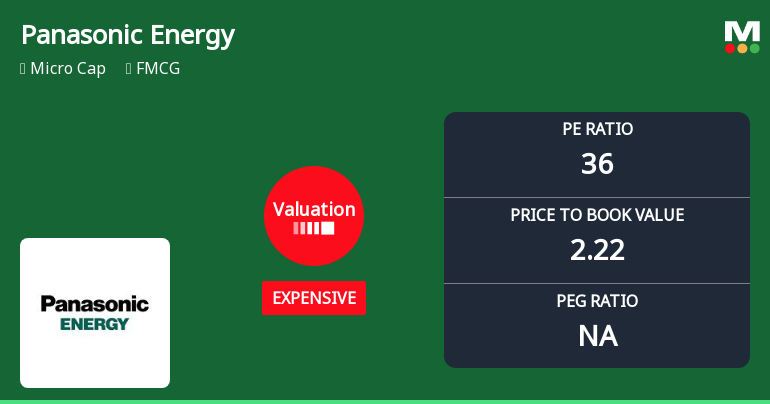 Panasonic Energy India Company Ltd Valuation Shifts Signal Price Attractiveness Decline
