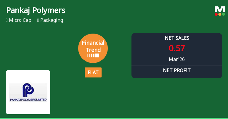 Pankaj Polymers Ltd Reports Flat Quarterly Performance Amid Mixed Financial Indicators
