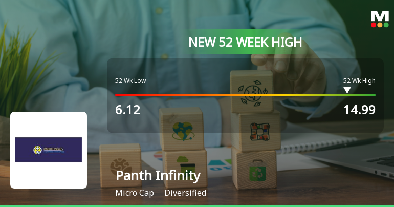 Broad-Based Technical Strength Lifts Panth Infinity Ltd to 52-Week High of Rs 14.99