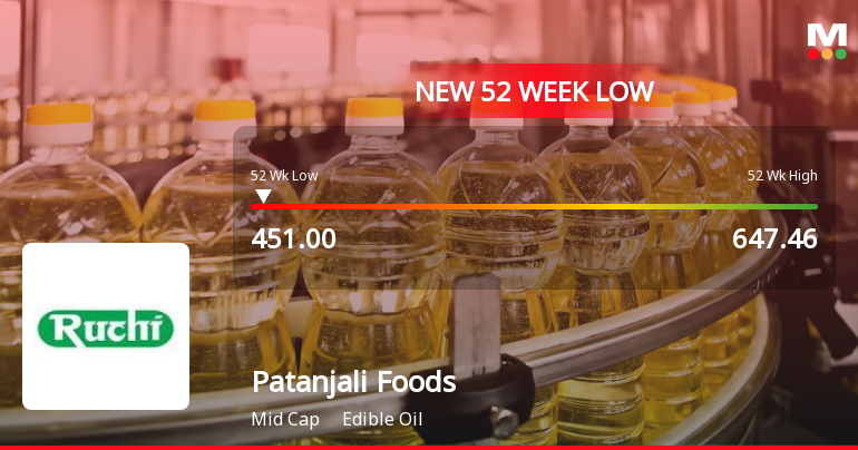 Patanjali Foods Ltd Falls to 52-Week Low of Rs 451 as Sell-Off Deepens