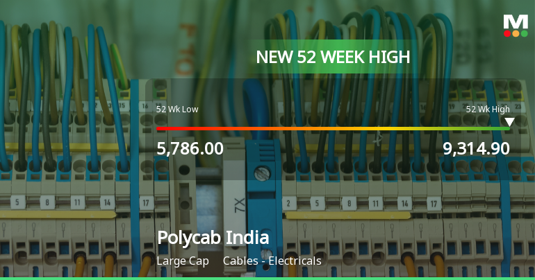 Broad-Based Technical Strength Lifts Polycab India Ltd to 52-Week High of Rs 9314.9