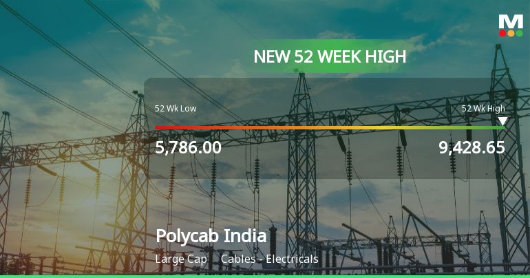 Broad-Based Technical Strength Lifts Polycab India Ltd to 52-Week High of Rs 9428.65