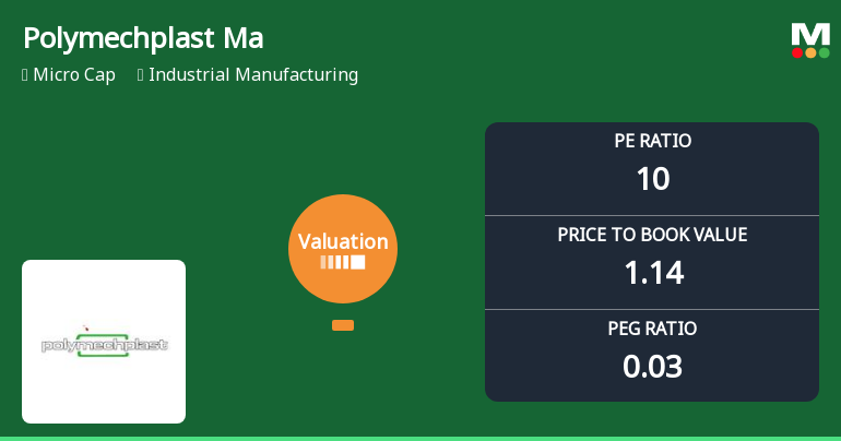 Polymechplast Machines Ltd Valuation Shifts Signal Heightened Risk Amid Mixed Returns