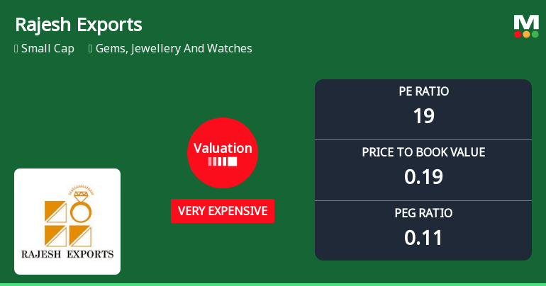 Rajesh Exports Ltd Valuation Shifts Signal Heightened Price Risk Amid Sector Challenges