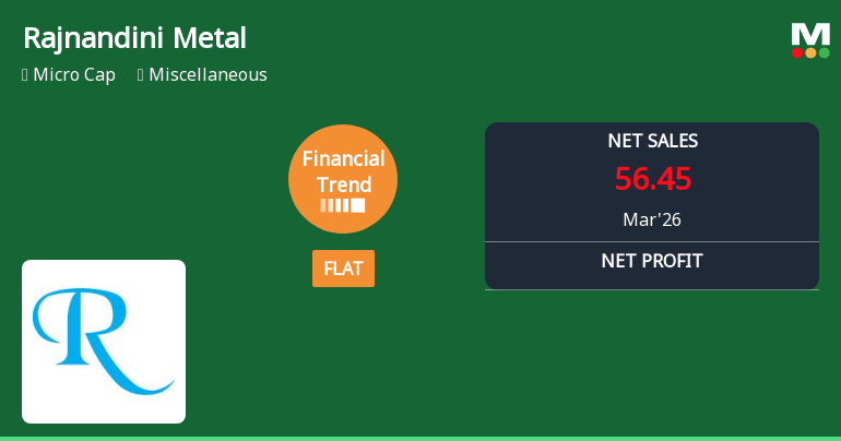 Rajnandini Metal Ltd Reports Flat Quarterly Performance Amid Margin Gains