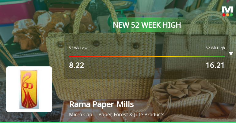 Broad-Based Technical Strength Lifts Rama Paper Mills Ltd to 52-Week High of Rs 16.21