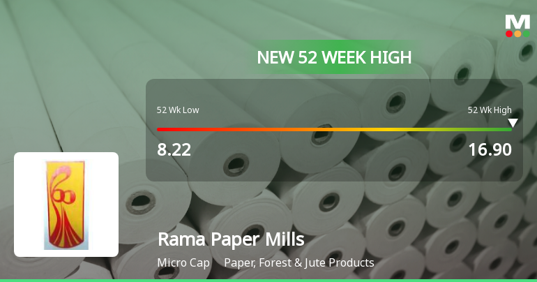 Broad-Based Technical Strength Lifts Rama Paper Mills Ltd to 52-Week High of Rs 16.9
