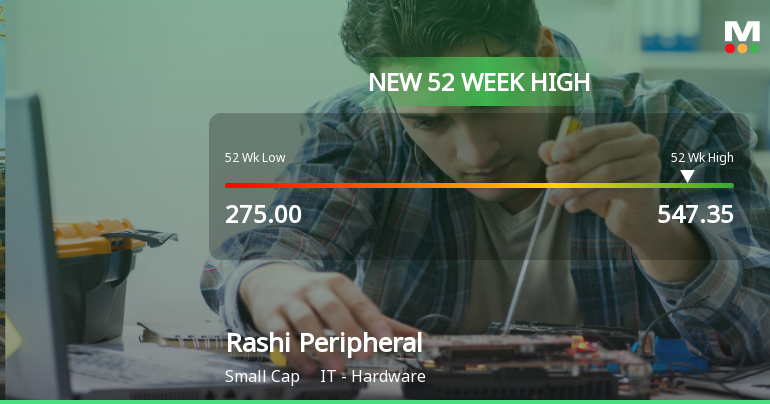 Broad-Based Technical Strength Lifts Rashi Peripherals Ltd to 52-Week High of Rs 547.35