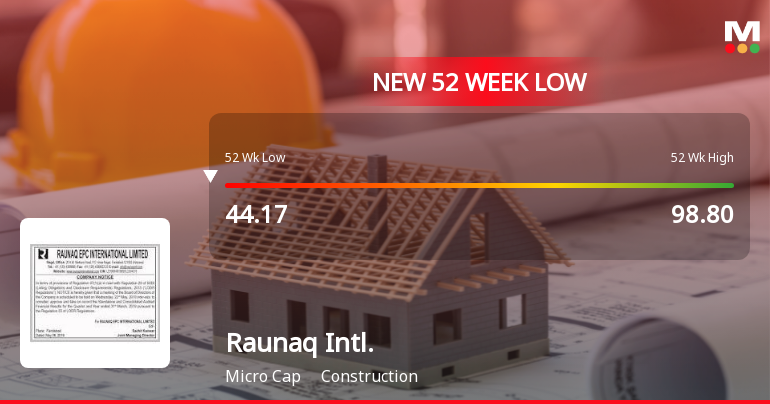 Markets Rally, But Raunaq International Ltd Sinks to 52-Week Low in Stock-Specific Sell-Off