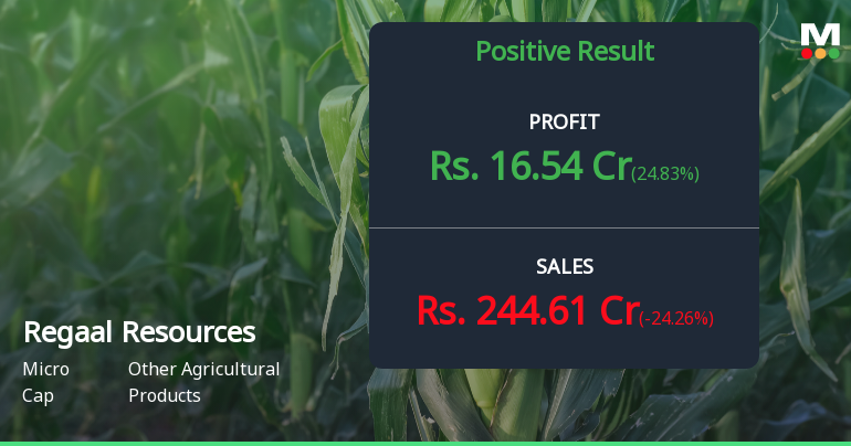 Regaal Resources Q4 FY25: Profit Surge Masks Sequential Revenue Decline
