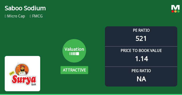Saboo Sodium Chloro Ltd Valuation Shifts Signal Improved Price Attractiveness Amid Mixed Returns