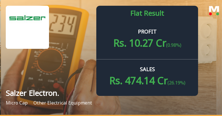 Salzer Electronics Q4 FY26: Margin Pressure Clouds Revenue Growth Story