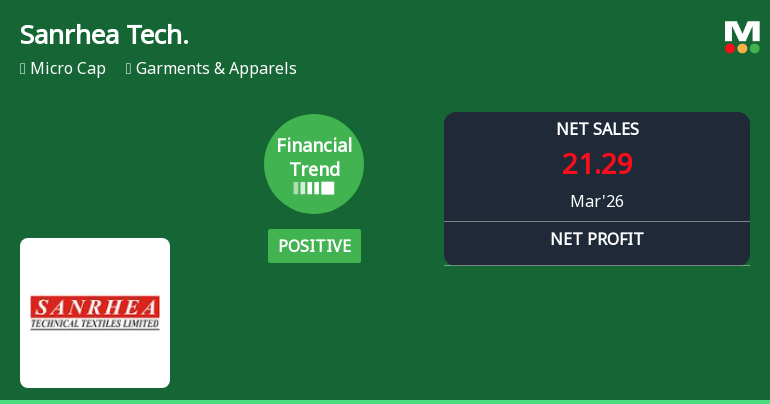 Sanrhea Technical Textile Ltd Reports Strong Quarterly Upswing Amid Long-Term Volatility