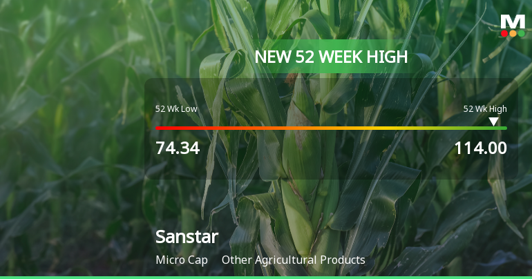 Broad-Based Technical Strength Lifts Sanstar Ltd to 52-Week High of Rs 114