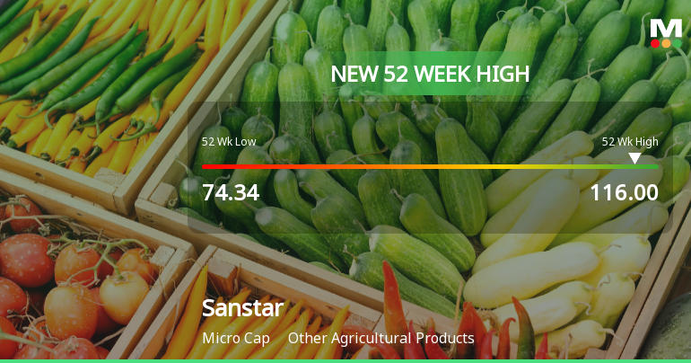 Broad-Based Technical Strength Lifts Sanstar Ltd to 52-Week High of Rs 116