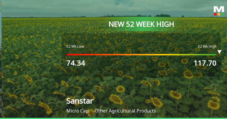 Broad-Based Technical Strength Lifts Sanstar Ltd to 52-Week High of Rs 117.7