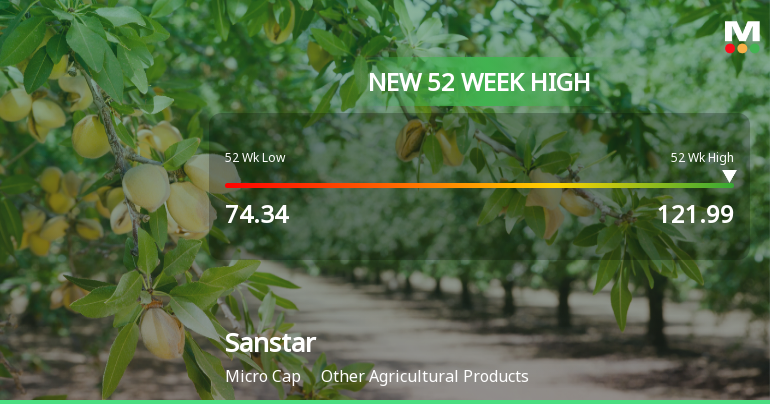 Broad-Based Technical Strength Lifts Sanstar Ltd to 52-Week High of Rs 121.99