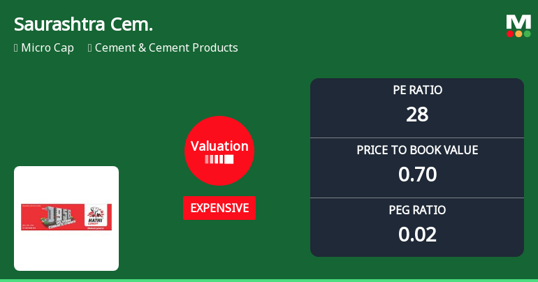 Saurashtra Cement Ltd Valuation Shifts Signal Elevated Price Risk