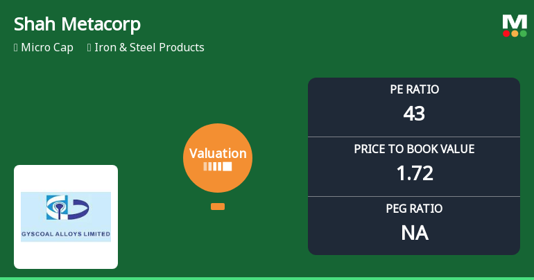 Shah Metacorp Ltd Valuation Shifts Signal Elevated Risk Amid Price Gains