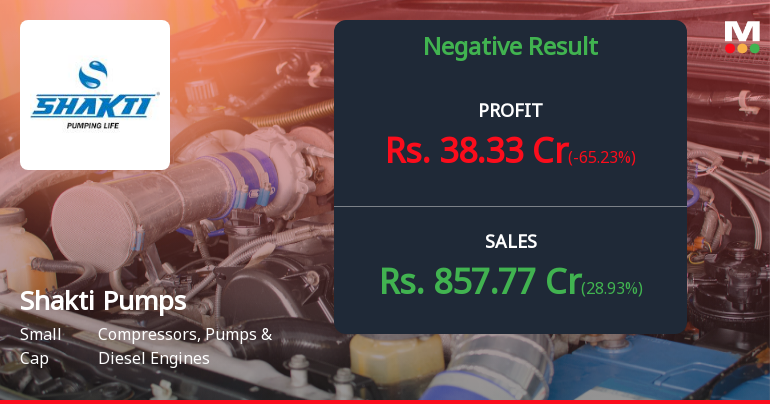 Shakti Pumps Q4 FY26: Margin Collapse Sparks Sharp Selloff Despite Revenue Surge