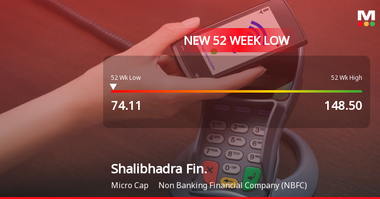 Markets Rally, But Shalibhadra Finance Ltd Sinks to 52-Week Low in Stock-Specific Sell-Off