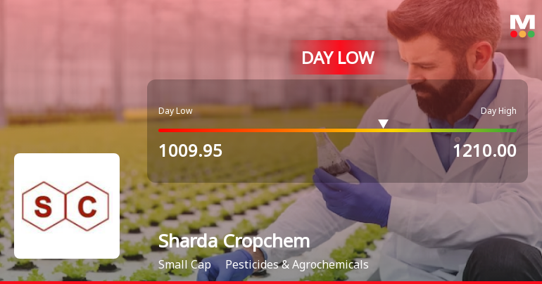 Sharda Cropchem Ltd Hits Intraday Low Amid Price Pressure on 13 May 2026