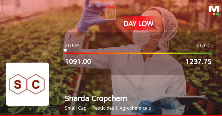 Sharda Cropchem Ltd Hits Intraday Low Amid Price Pressure on 14 May 2026