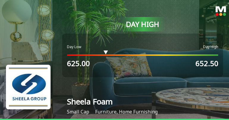 Sheela Foam Ltd. Surges 16.44% to Day's High of Rs 652.5 — Outperforms Sector by 14.81 Percentage Points