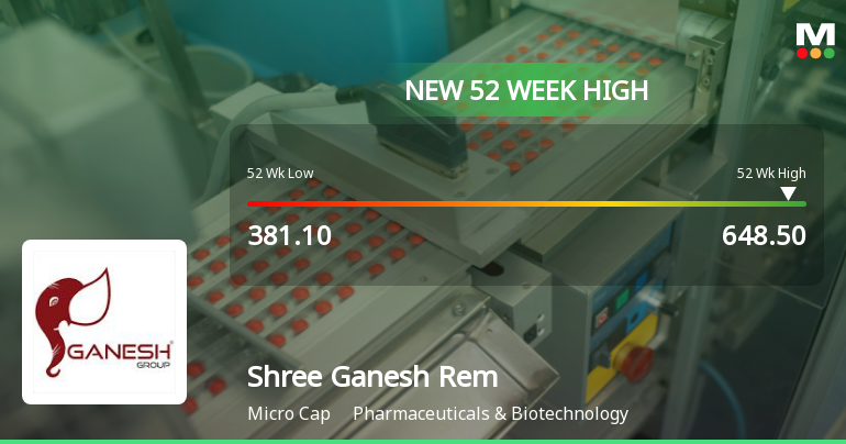 Broad-Based Technical Strength Lifts Shree Ganesh Remedies Ltd to 52-Week High of Rs 648.5