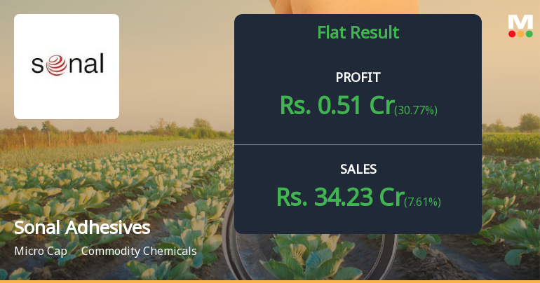 Sonal Adhesives Q4 FY26: Profit Surge Masks Margin Pressures in Volatile Quarter