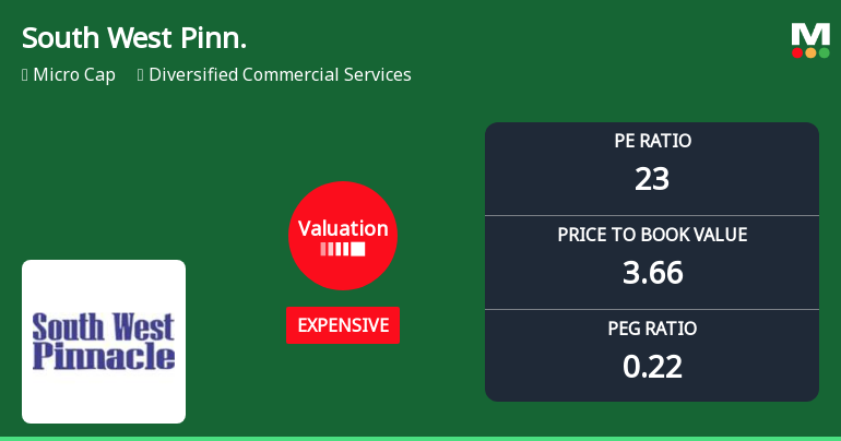 South West Pinnacle Exploration Ltd Valuation Shifts Signal Changing Market Sentiment