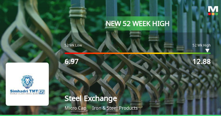 Broad-Based Technical Strength Lifts Steel Exchange India Ltd to 52-Week High of Rs 12.88