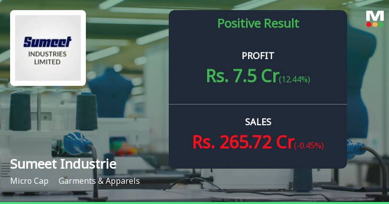 Sumeet Industries Q4 FY26: Stellar Returns Mask Operational Fragility