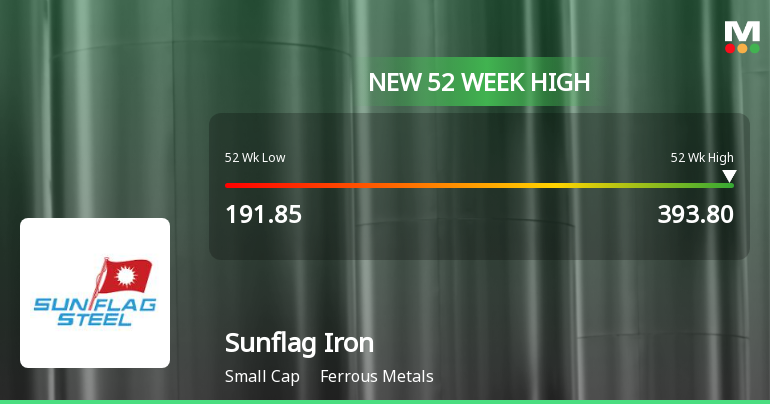Broad-Based Technical Strength Lifts Sunflag Iron & Steel Company Ltd to 52-Week High of Rs 393.8